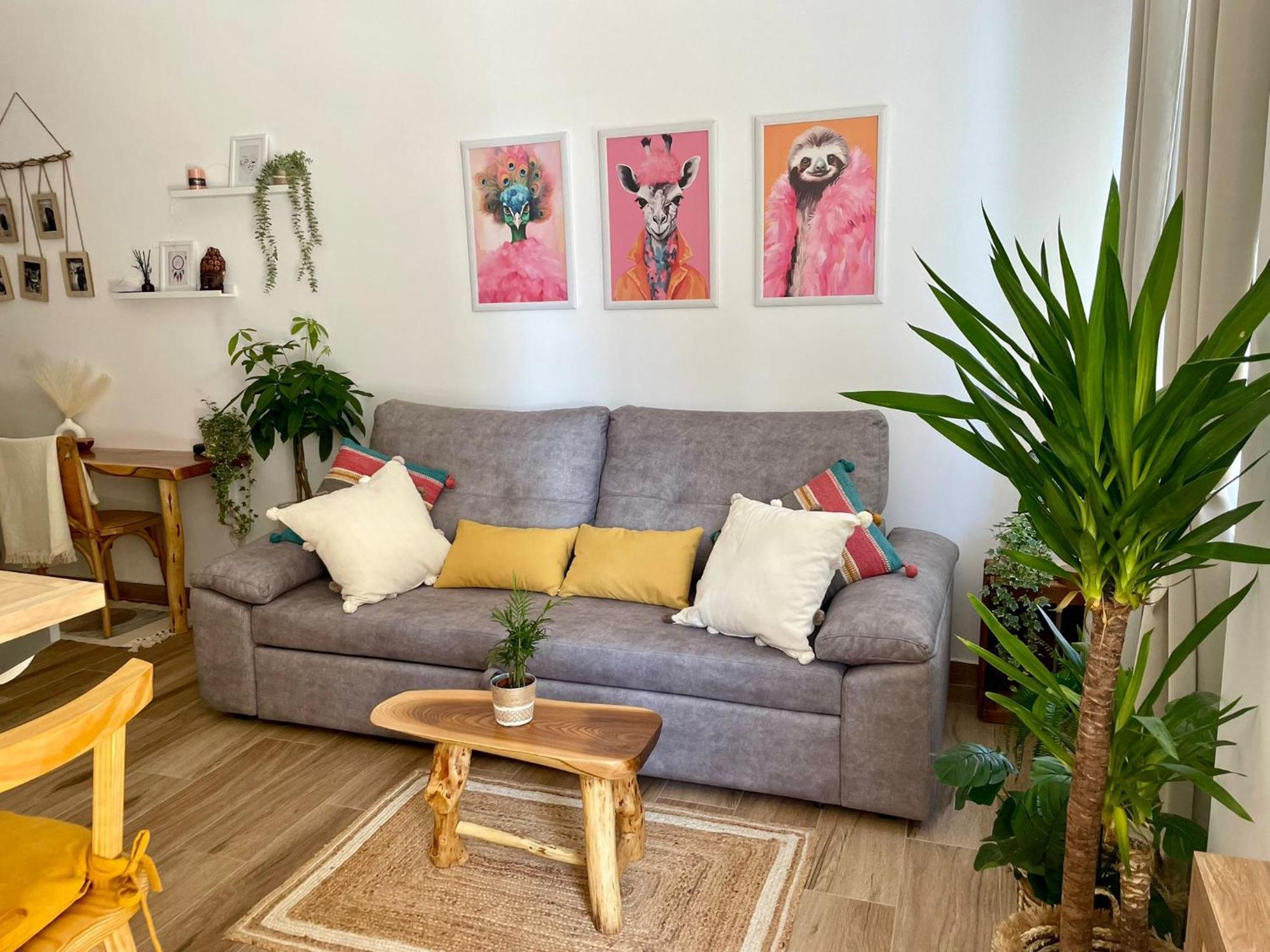 Apartament Noreva
